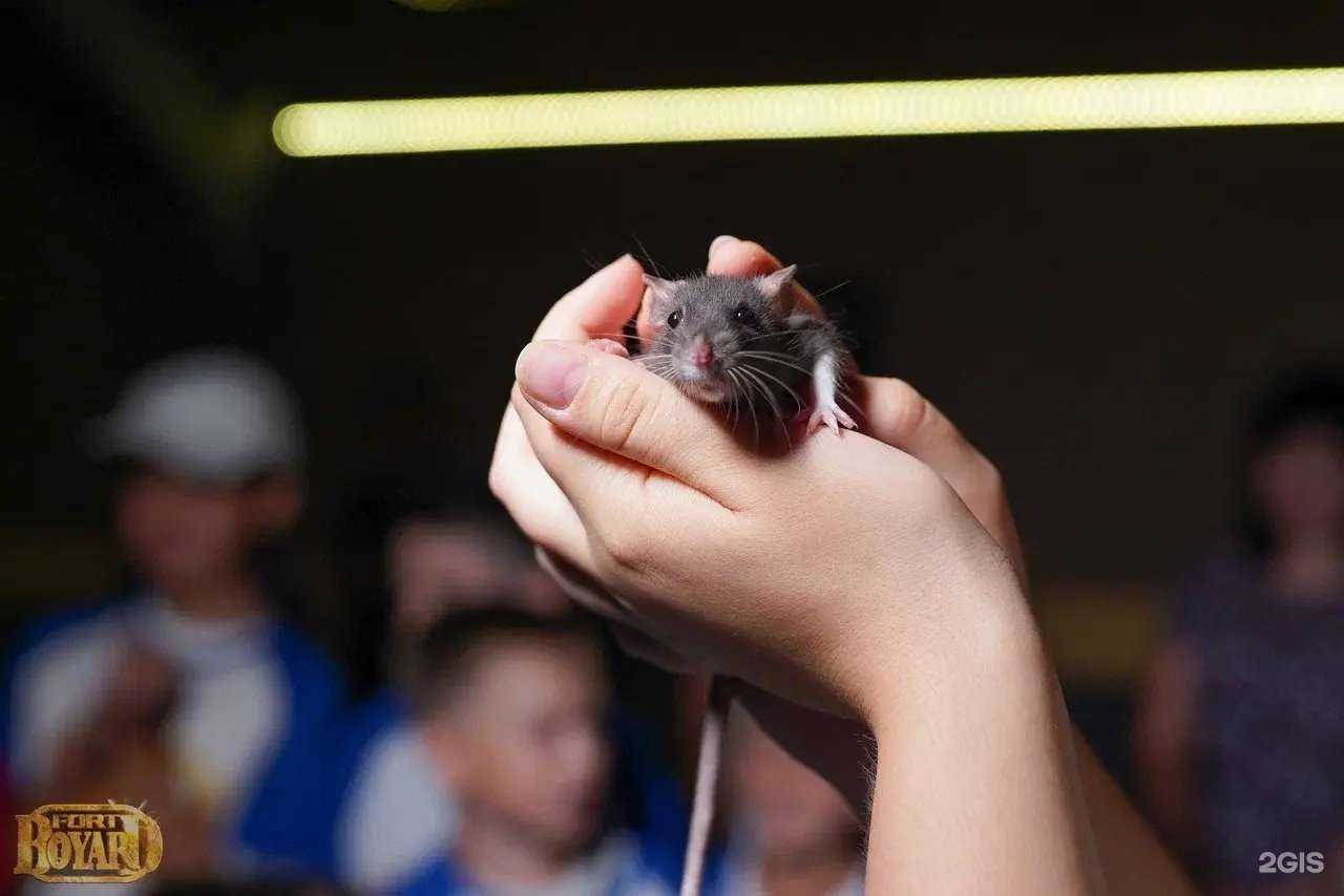 Отзывы на компанию Форт Боярд в г. Оренбург c фото