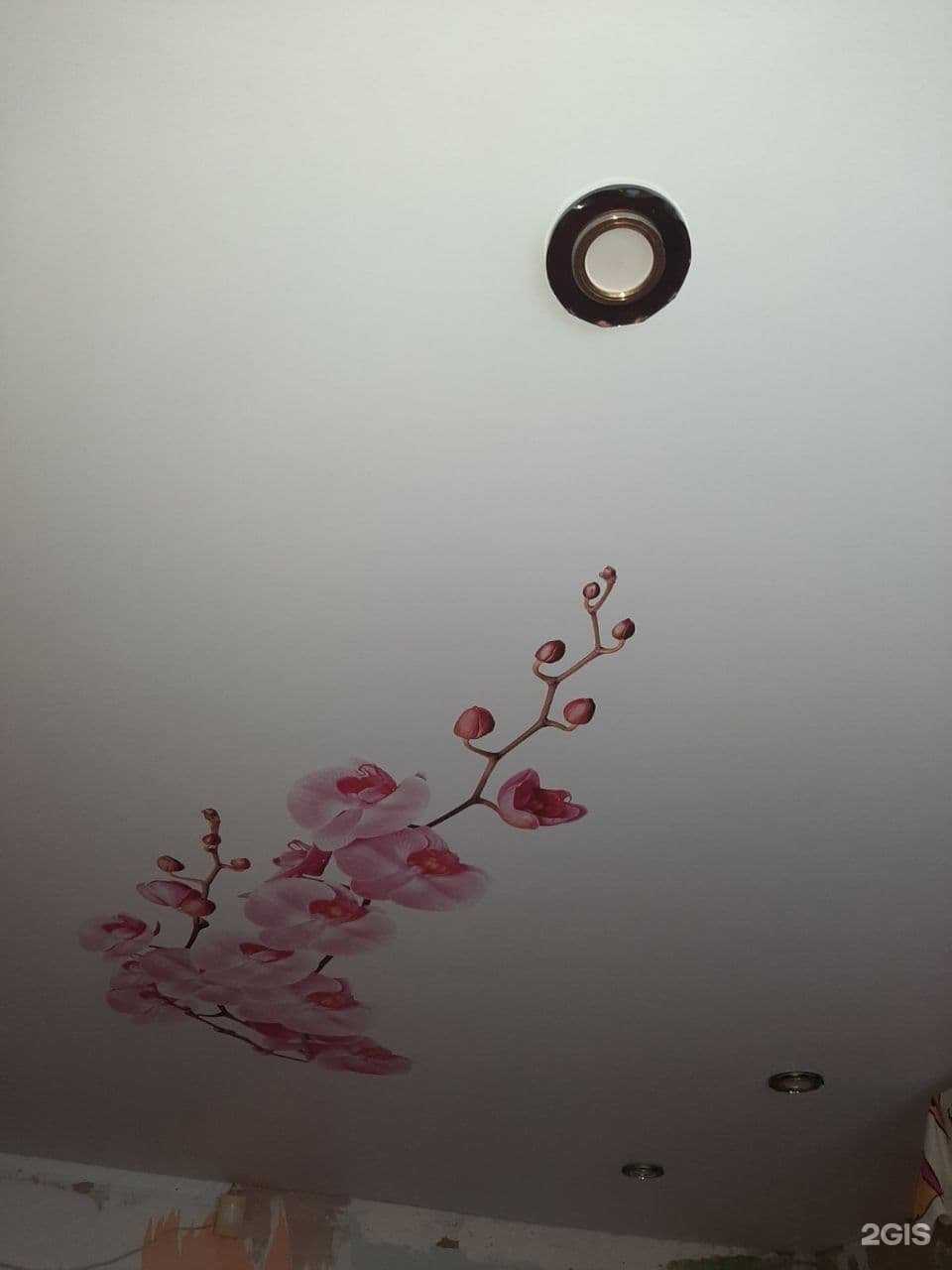 Отзывы на компанию EveRest в Чите c фото