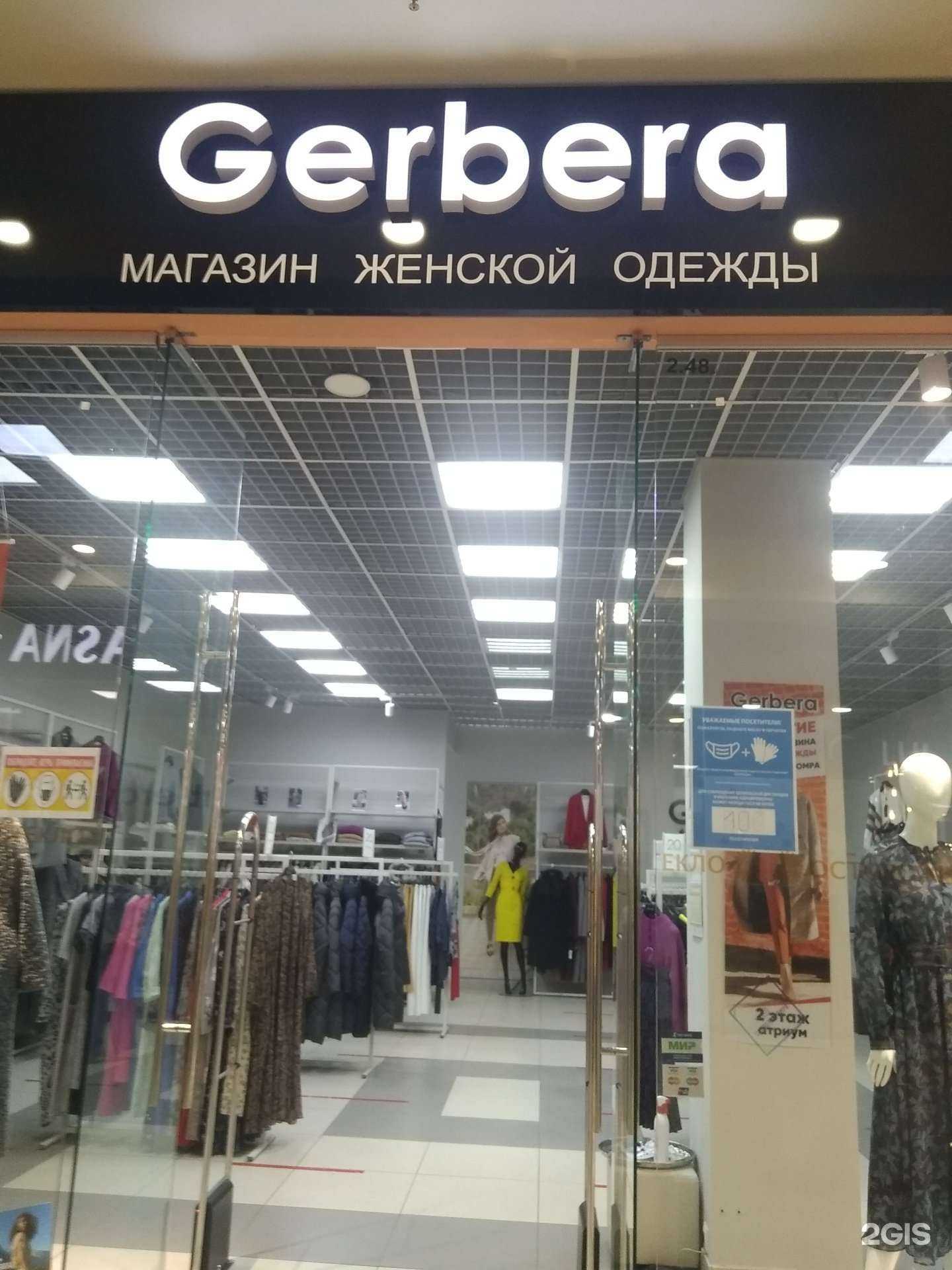 Отзывы на компанию Gerbera в Иванове c фото