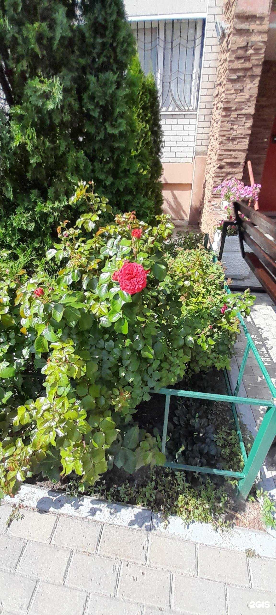 Отзывы на компанию Аник в Воронеже c фото - фотография 2 из 2