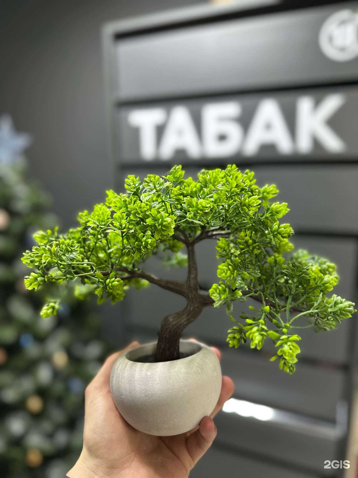 Отзывы на компанию Спутник в г. Самара c фото