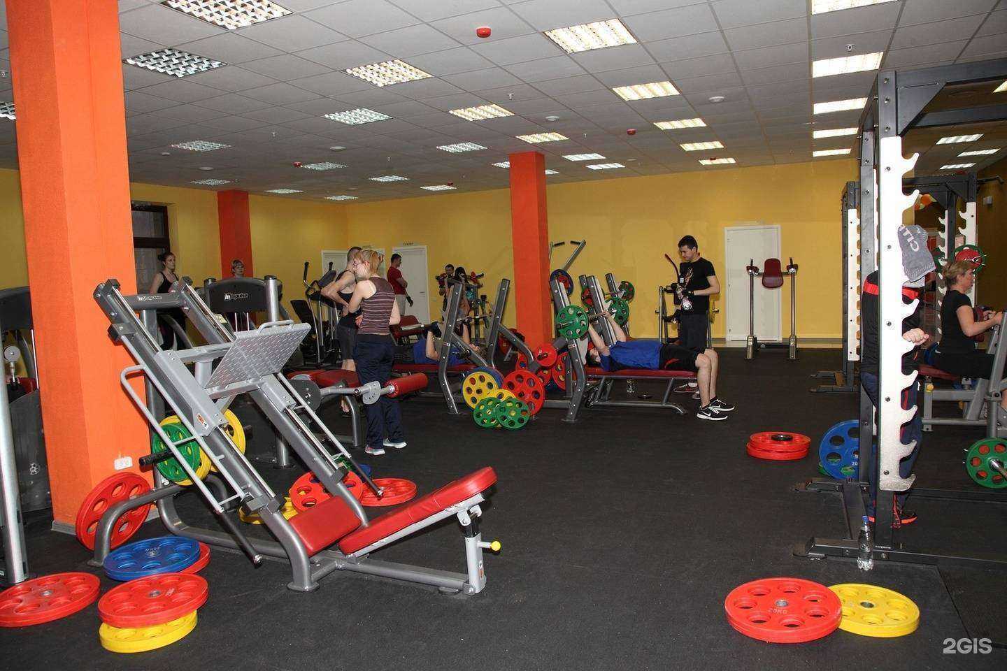 Отзывы на компанию Геркулес в г. Тула c фото