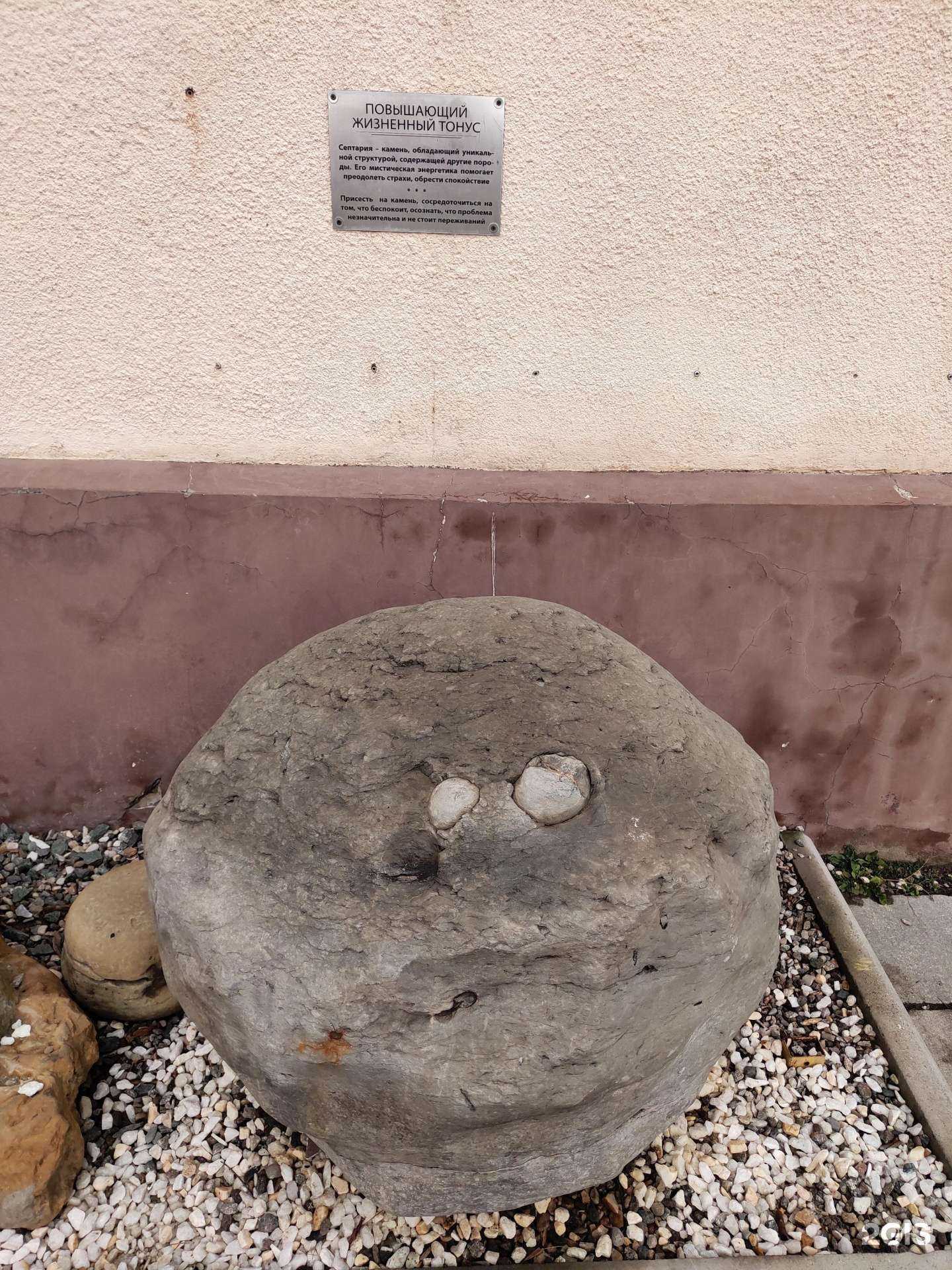 Отзывы на компанию Элит Пиде в Нальчике c фото - фотография 2 из 2