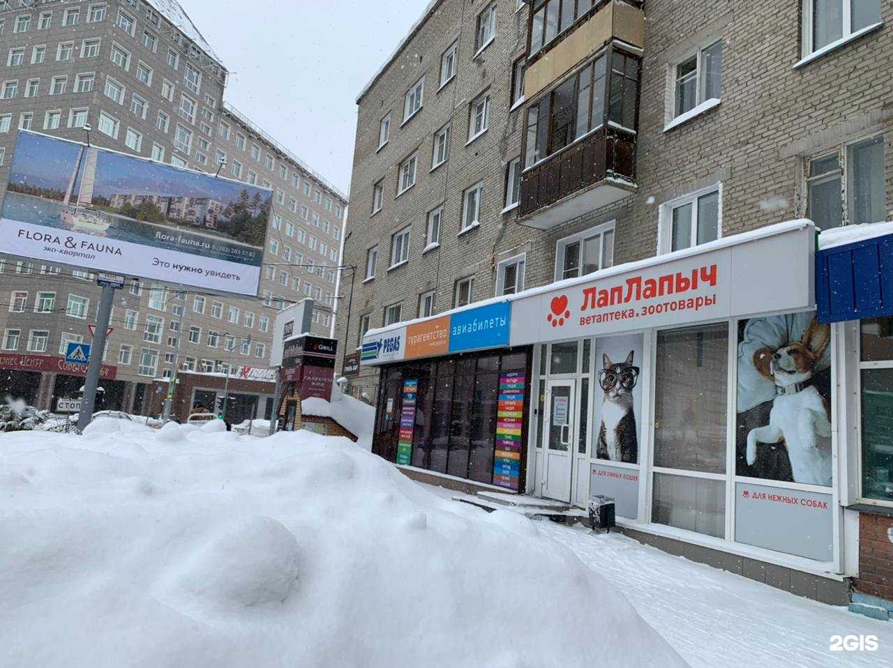 Отзывы на компанию Лап Лапыч в г. Новосибирск c фото