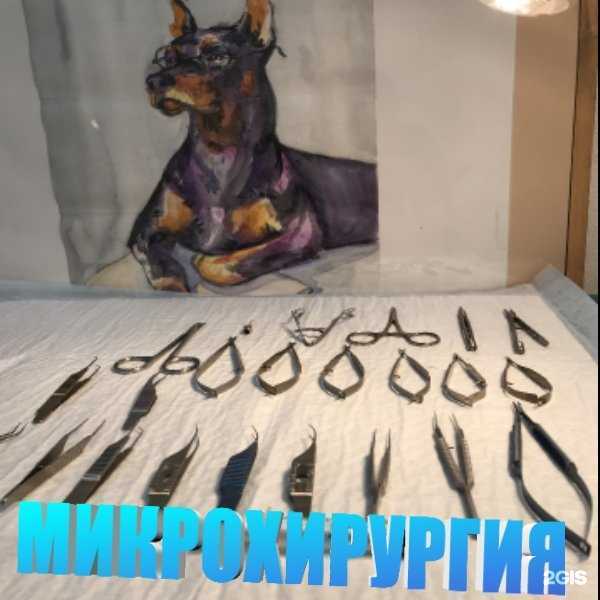 Отзывы на компанию Ветокулист в Чебоксарах c фото