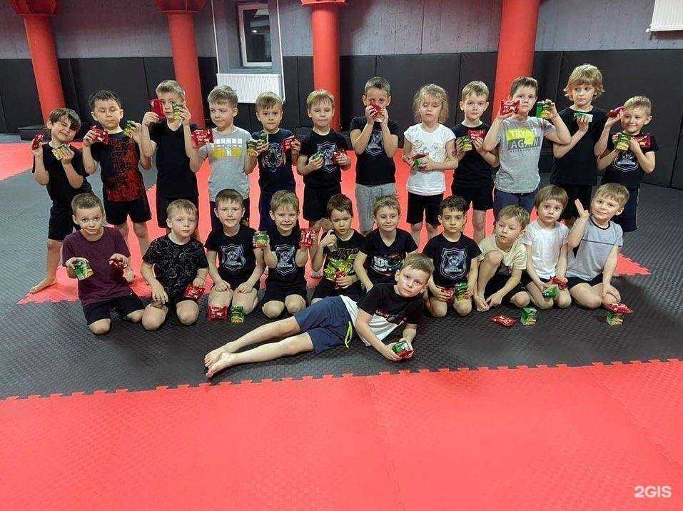 Отзывы на компанию Гладиатор в Тамбове c фото