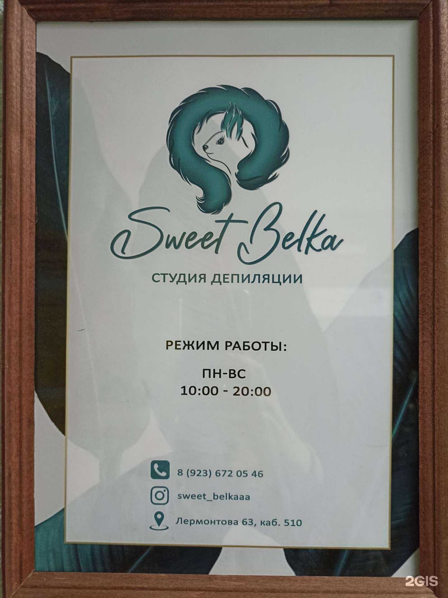 Отзывы на компанию Sweet Belka в г. Омск c фото