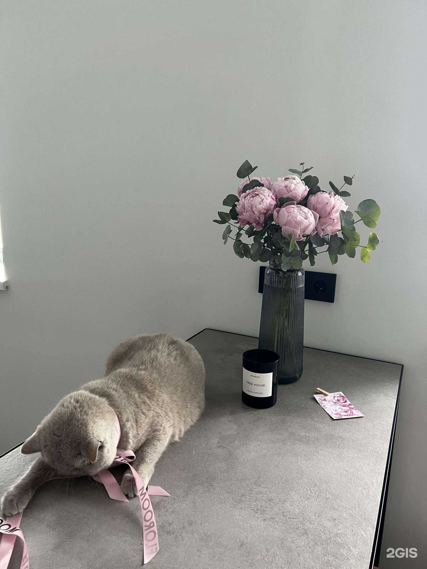 Отзывы на компанию Конструкт в г. Владивосток c фото