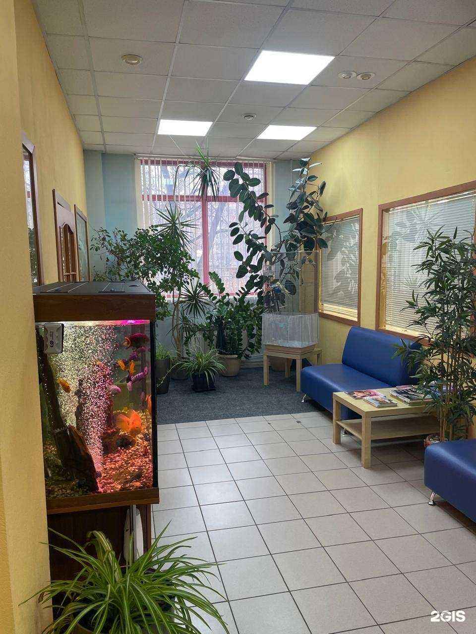 Отзывы на компанию Эстетика в Омске c фото