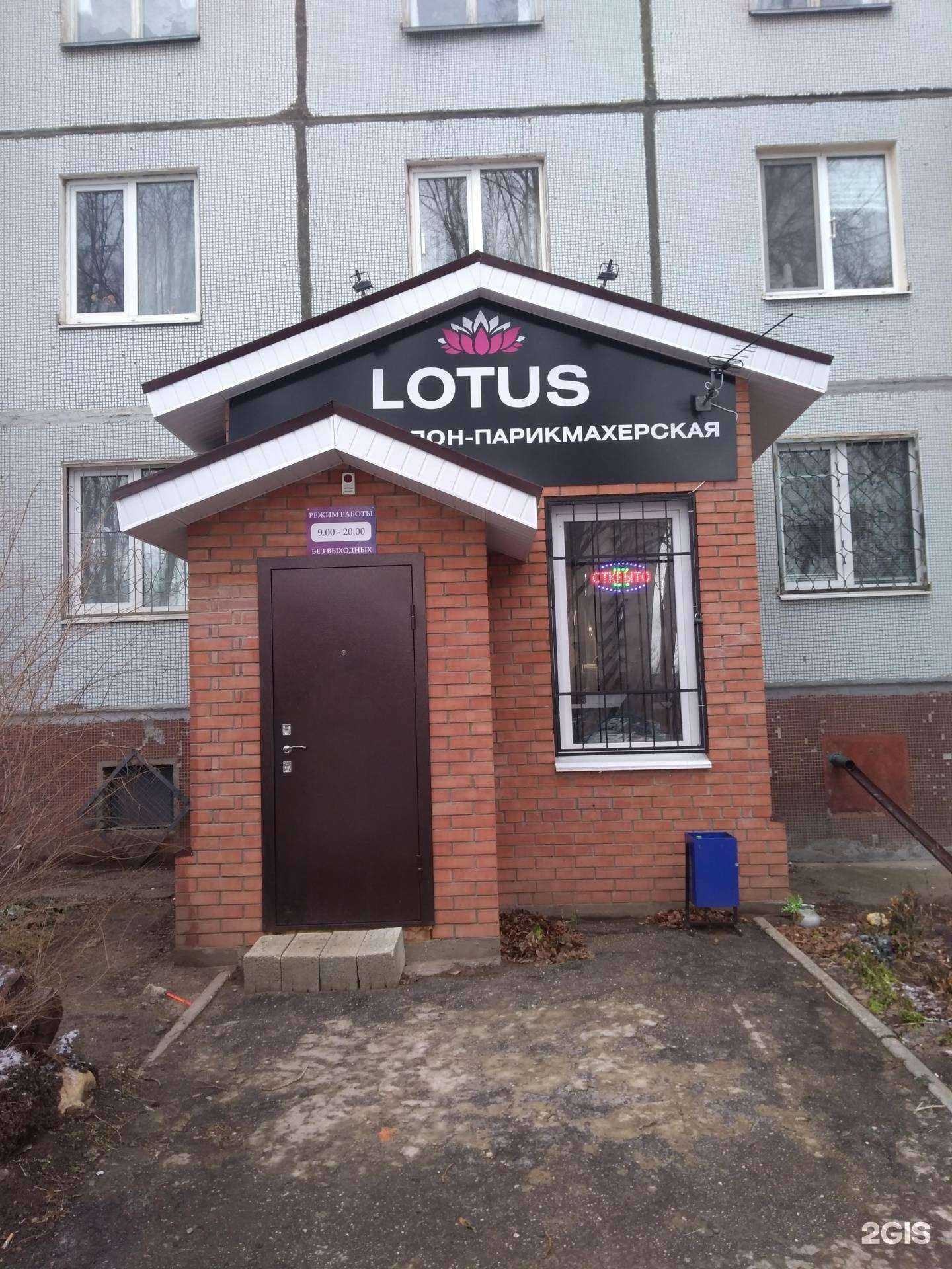 Отзывы на компанию Lotus в г. Тольятти c фото