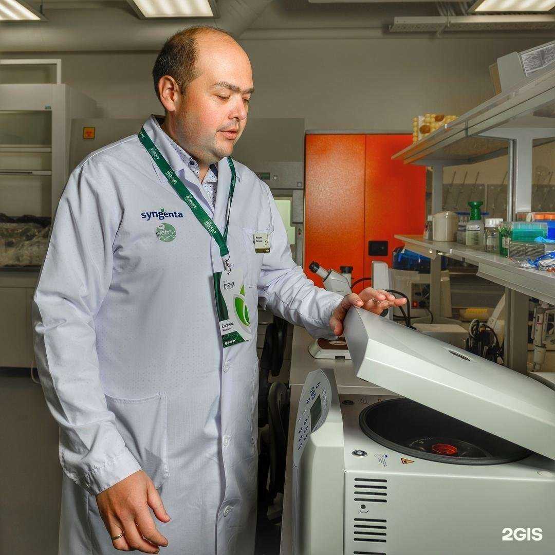 Отзывы на компанию Сингента в г. Липецк c фото