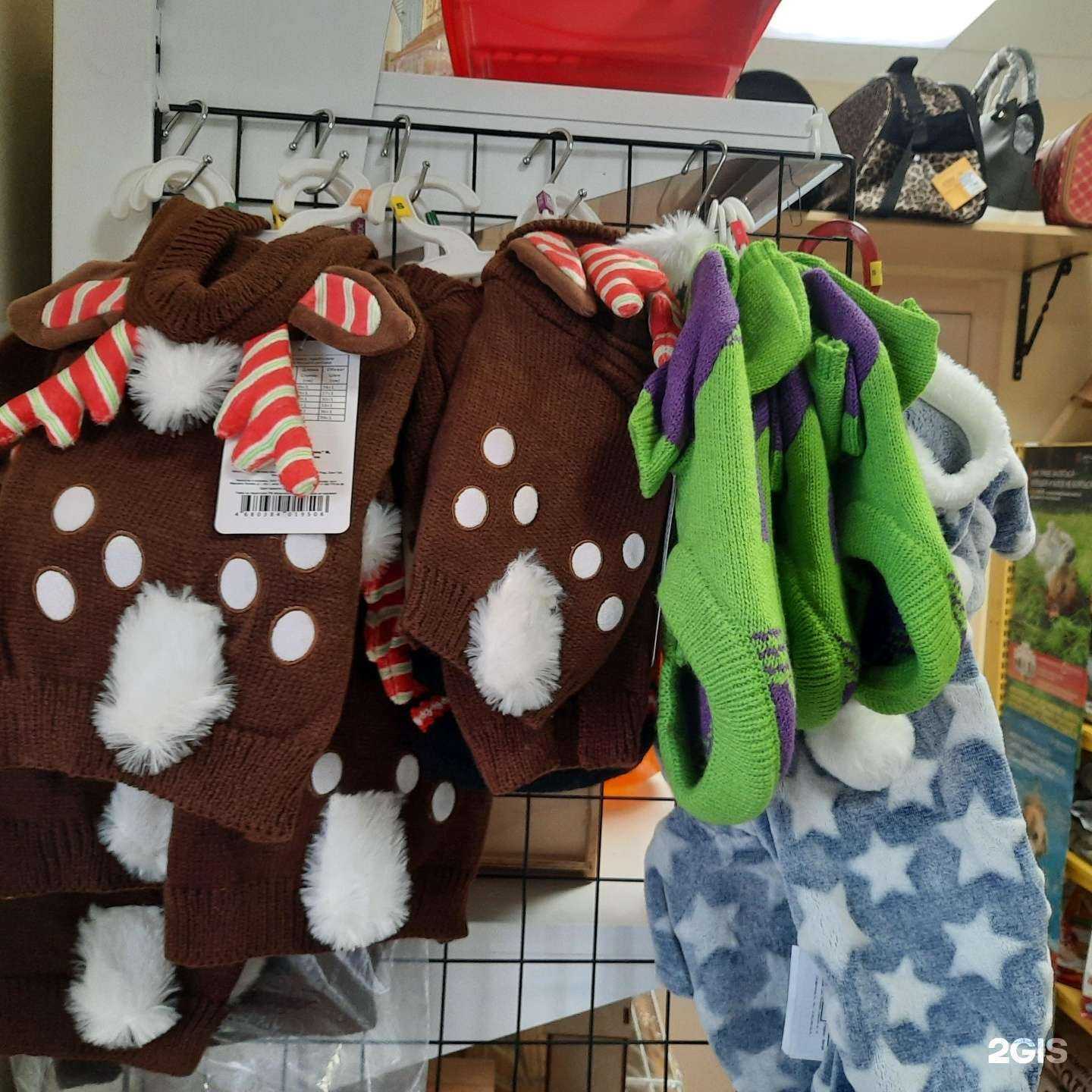 Отзывы на компанию Лакки Dog в г. Новокуйбышевск c фото