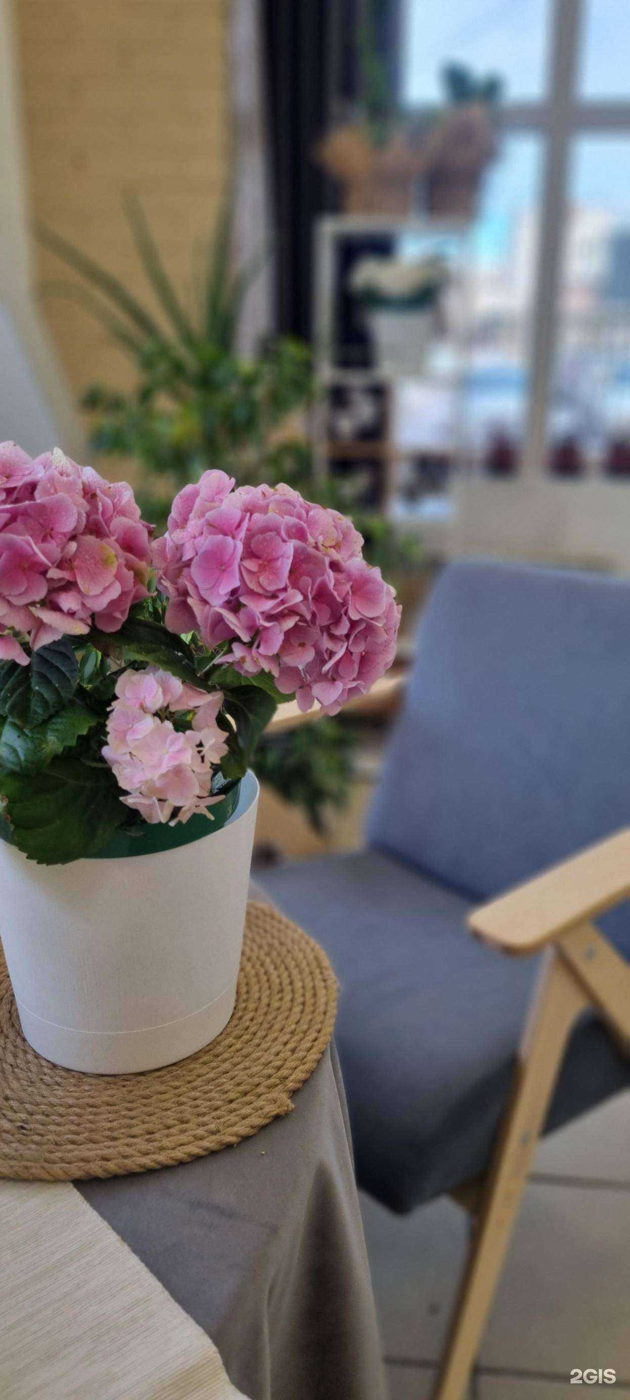 Отзывы на компанию Поле в г. Омск c фото