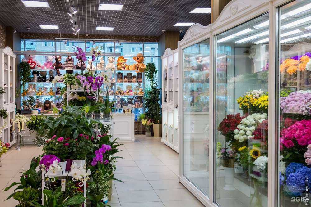 Отзывы на компанию Оазис в Чите c фото