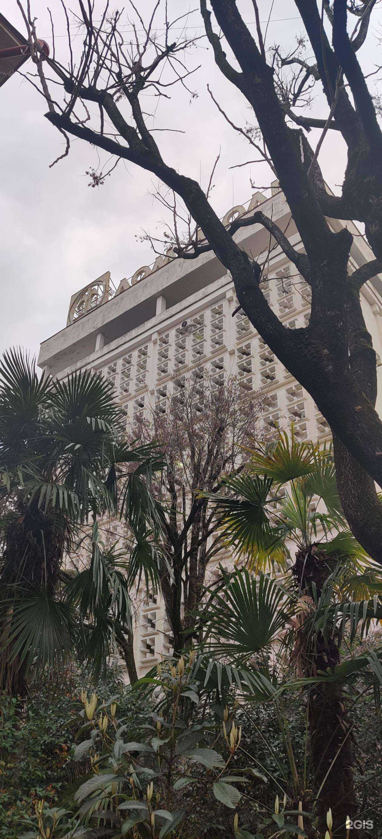 Отзывы на компанию Kid’s Star New в Сочи c фото - фотография 2 из 2