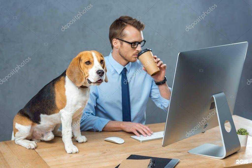 Отзывы на компанию Security-gold в г. Ростов-на-Дону c фото