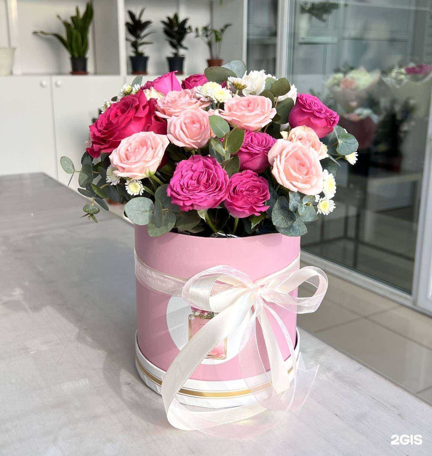 Отзывы на компанию Ботаника в Якутске c фото