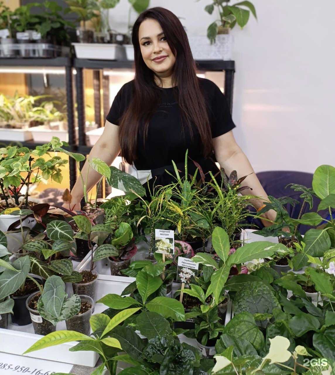 Отзывы на компанию Exoticflora.ru в Коммунарке c фото