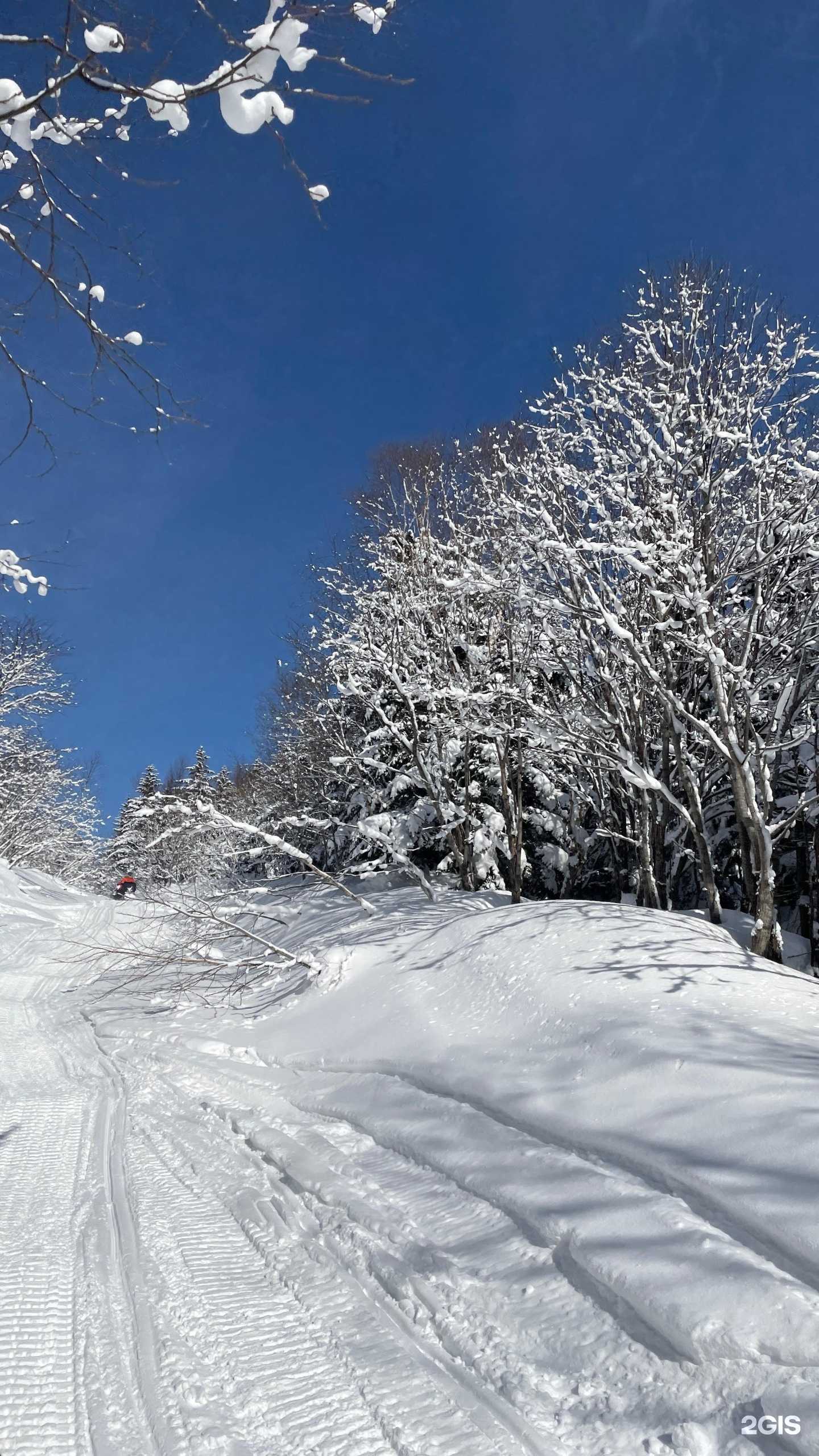 Отзывы на компанию Сахалинские каникулы в Южно-Сахалинске c фото