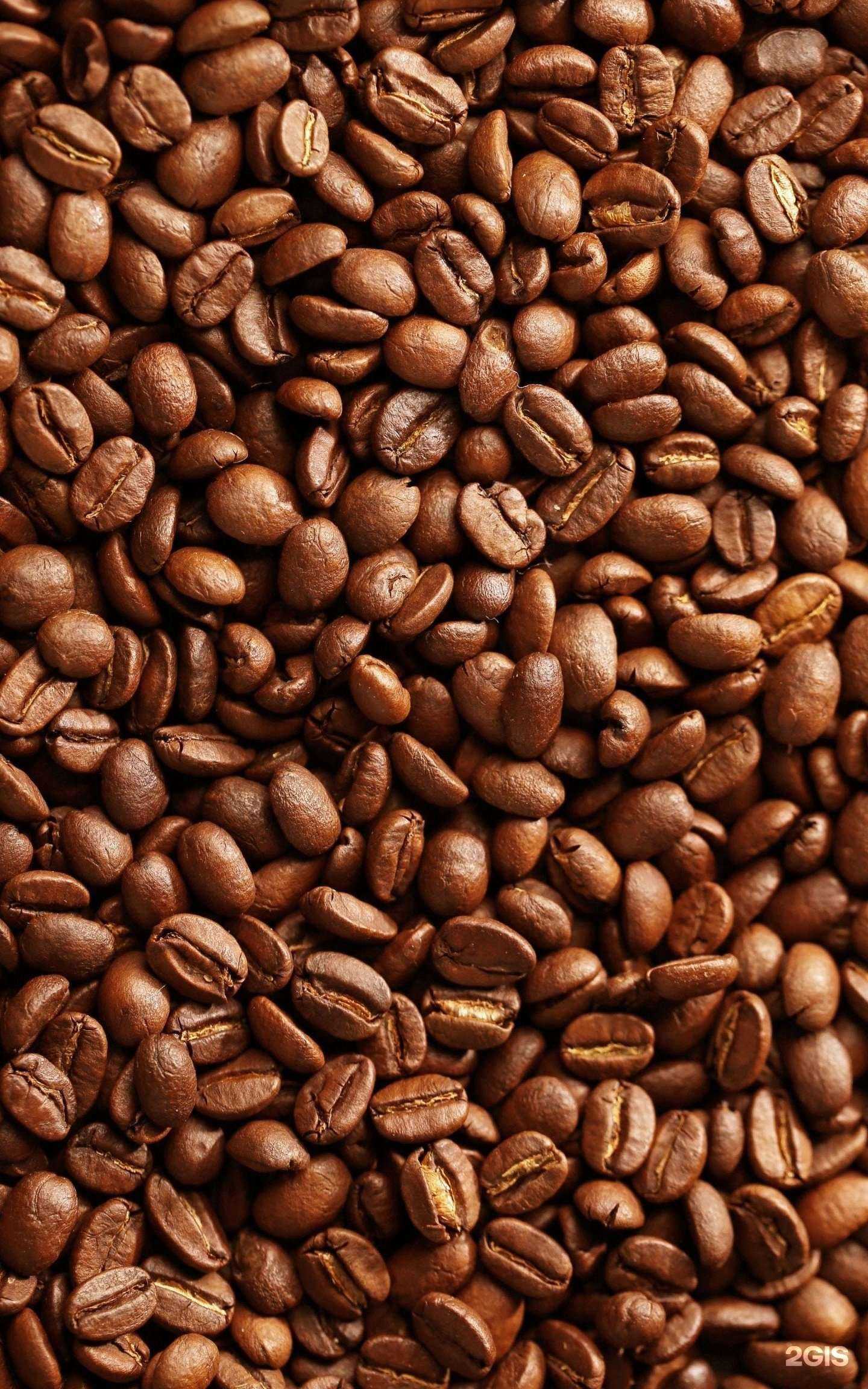 Отзывы на компанию Арабика в г. Нефтеюганск c фото