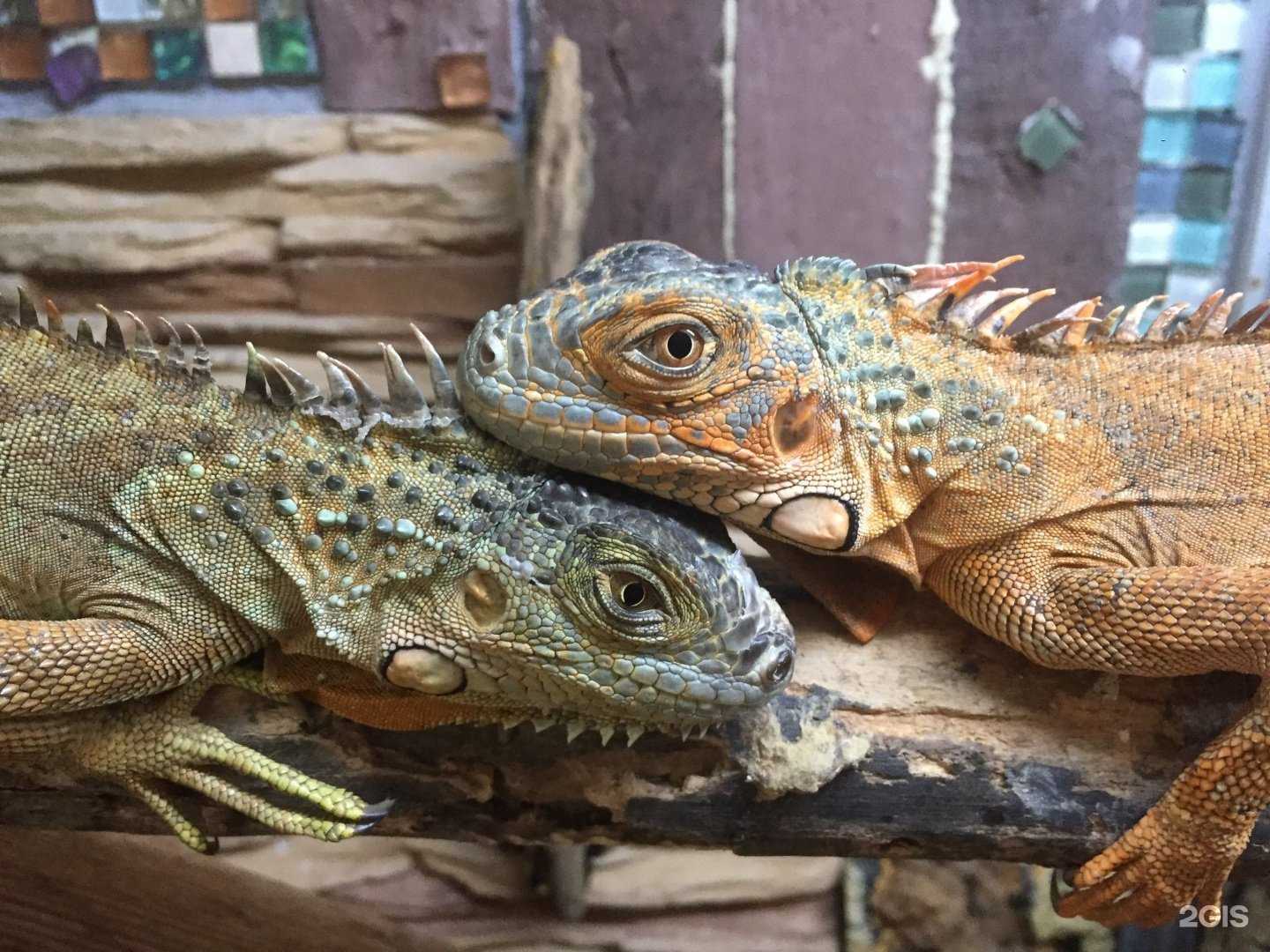 Отзывы на компанию Алекс в Краснодаре c фото