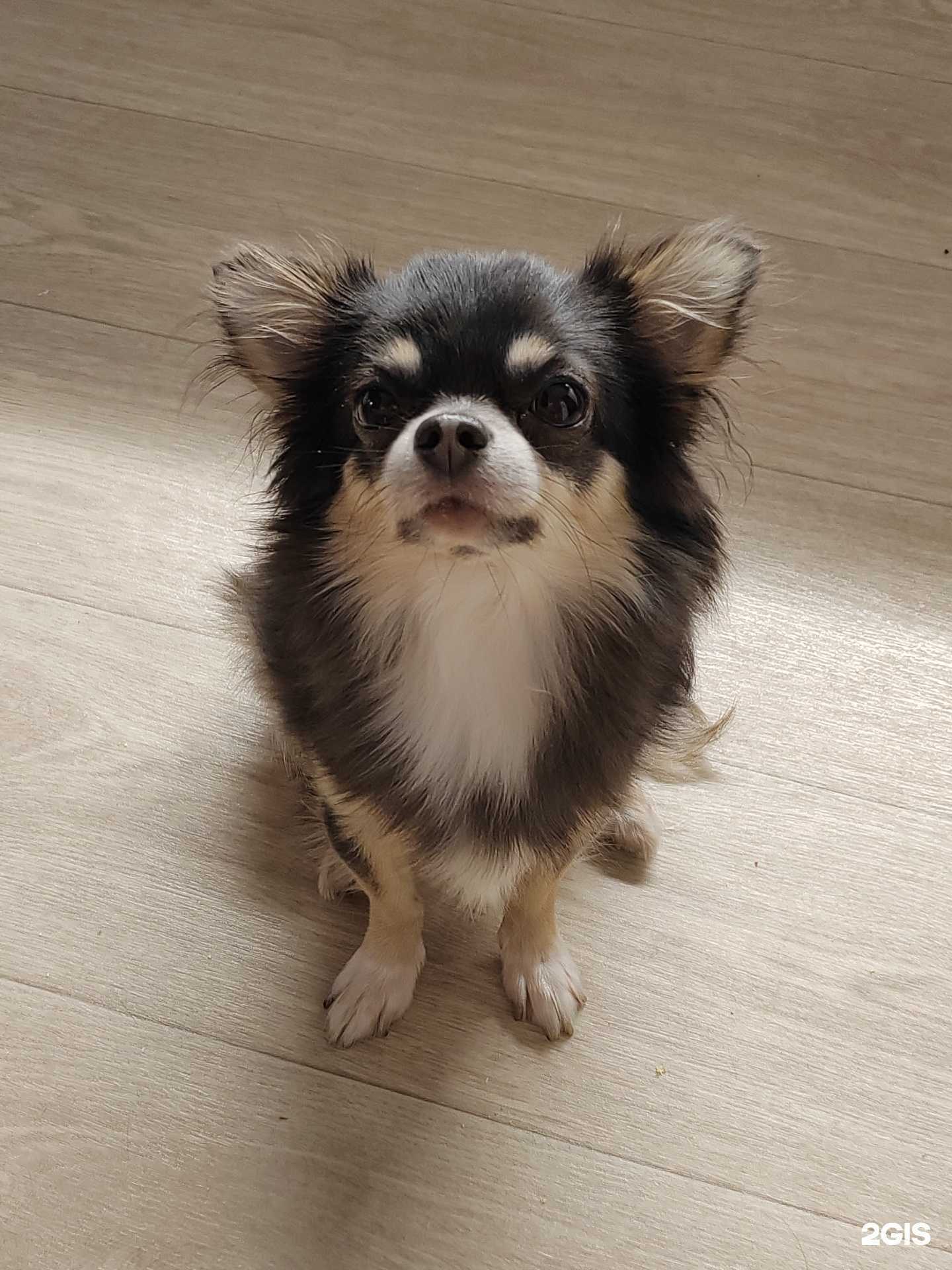 Отзывы на компанию Гаврюша в г. Тольятти c фото