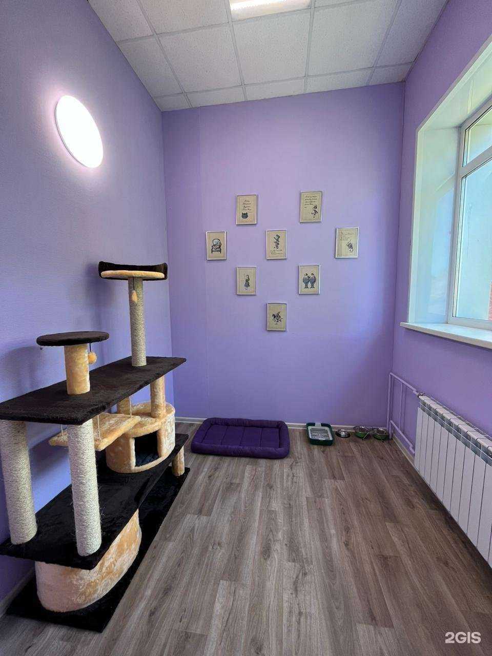 Отзывы на компанию Ирбис в Кемерове c фото