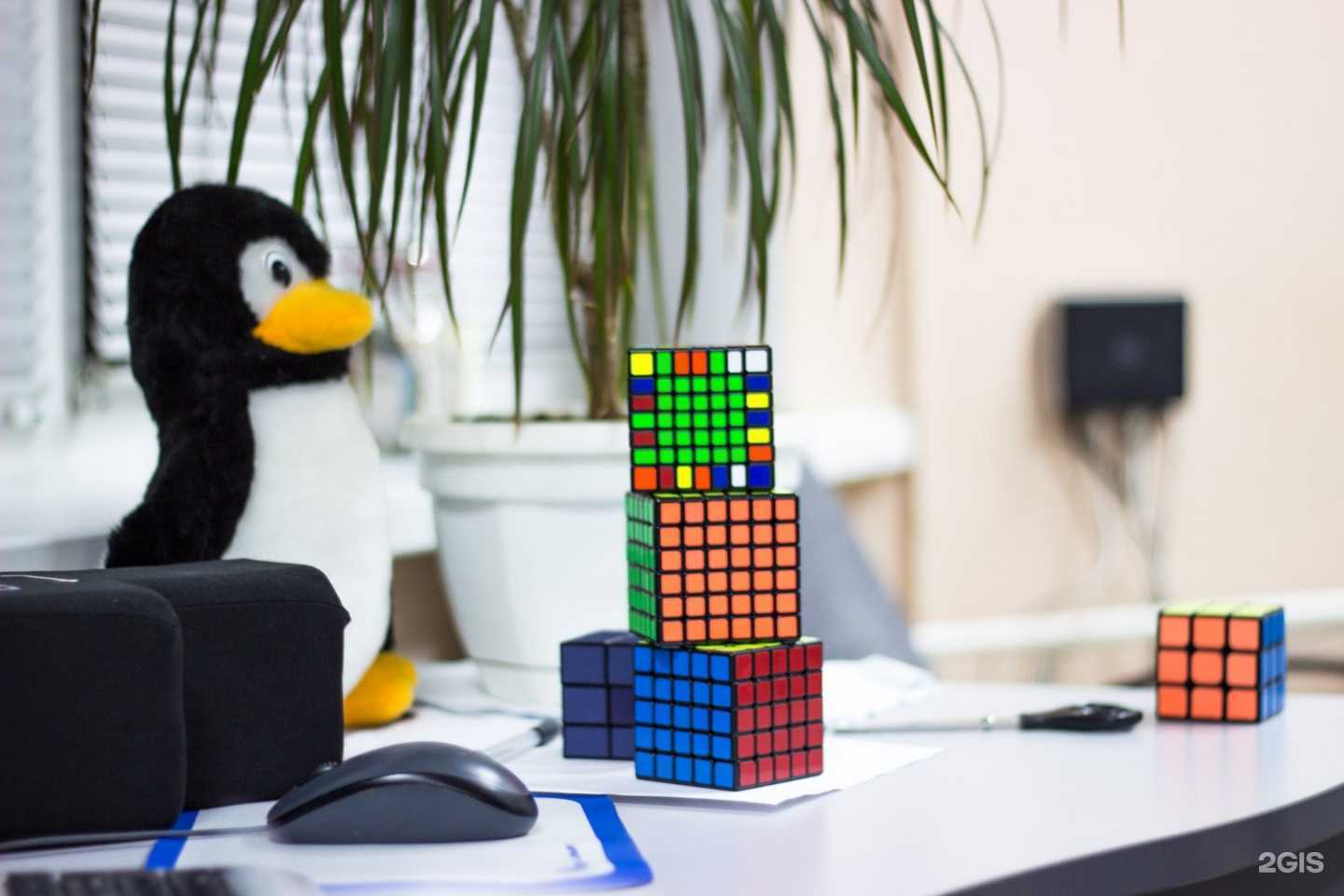 Отзывы на компанию Крит в г. Тверь c фото