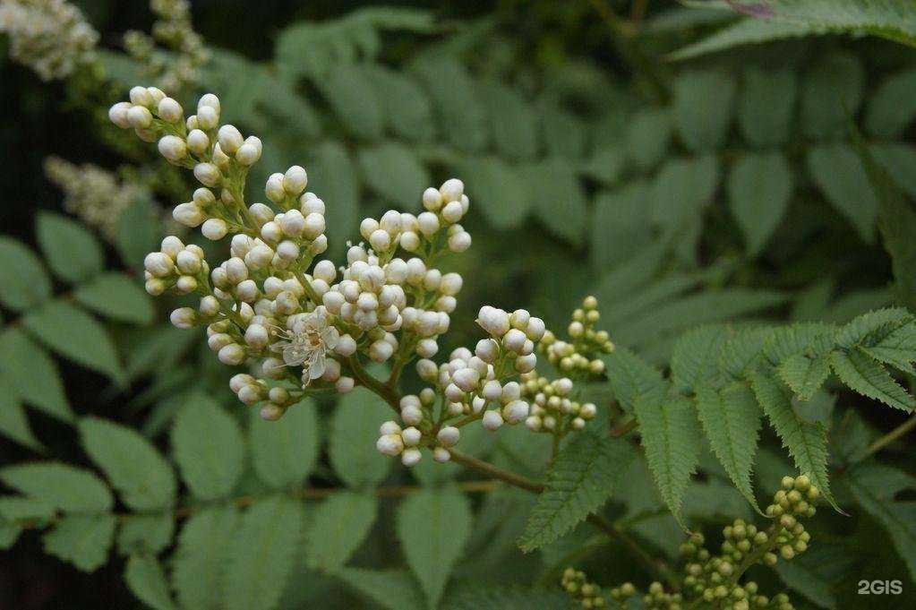 Отзывы на компанию Садовод в г. Архангельск c фото