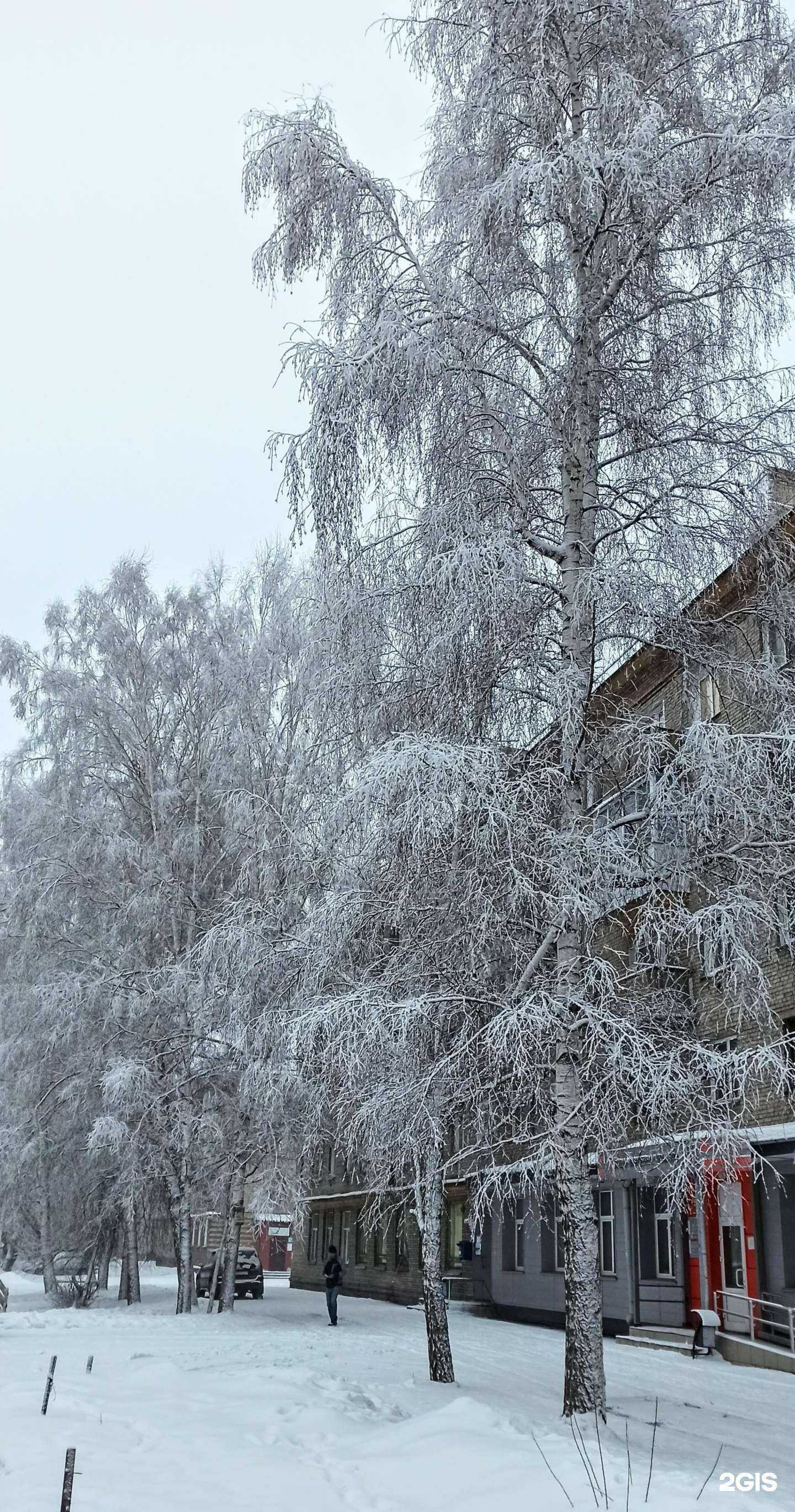 Отзывы на компанию Парикмахерская в Новосибирске c фото - фотография 2 из 2