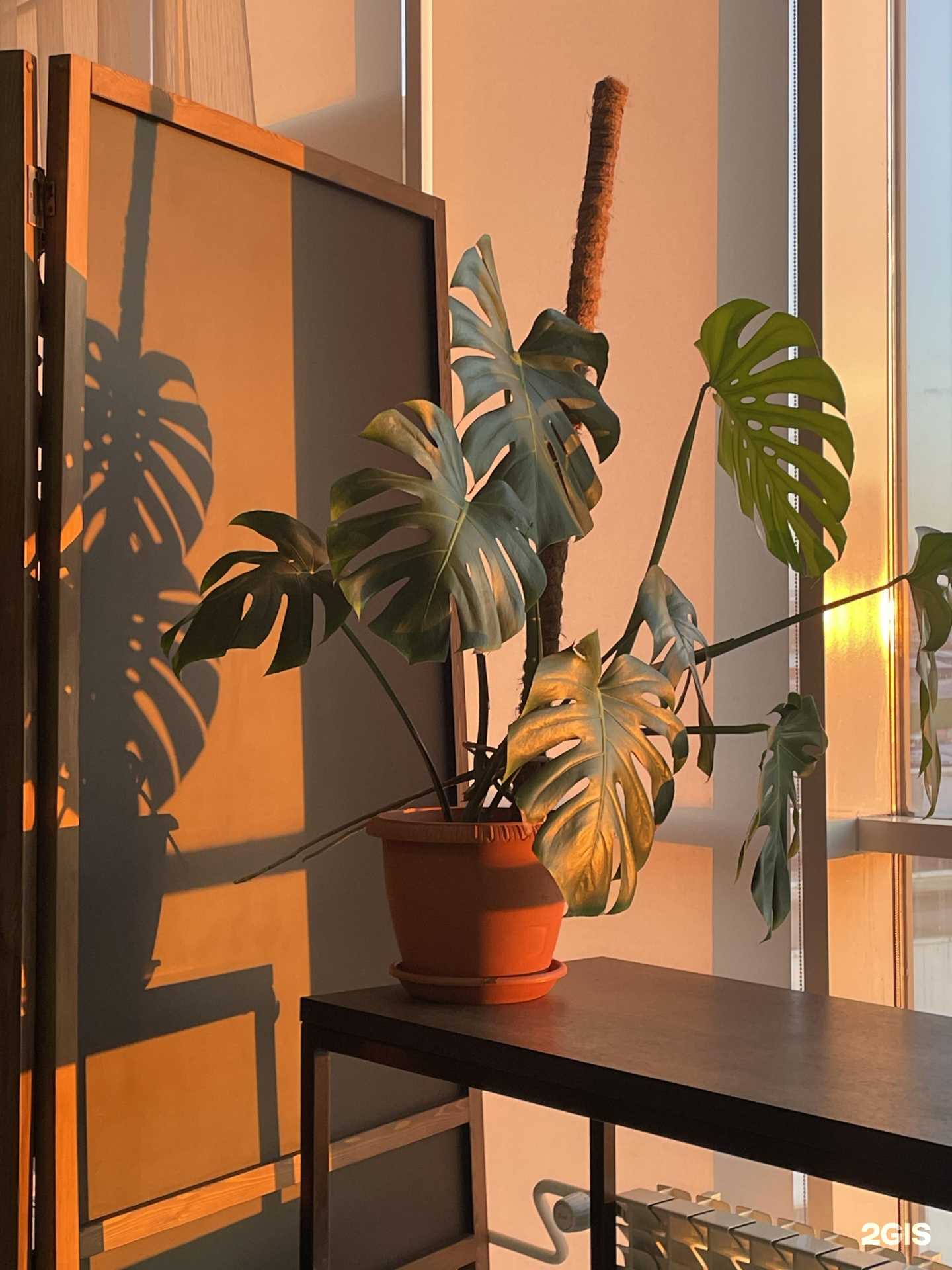 Отзывы на компанию Olivka в Красноярске c фото