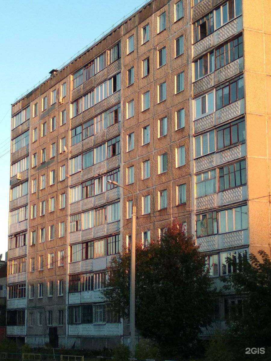 Отзывы на компанию Мой зверь в г. Пермь c фото