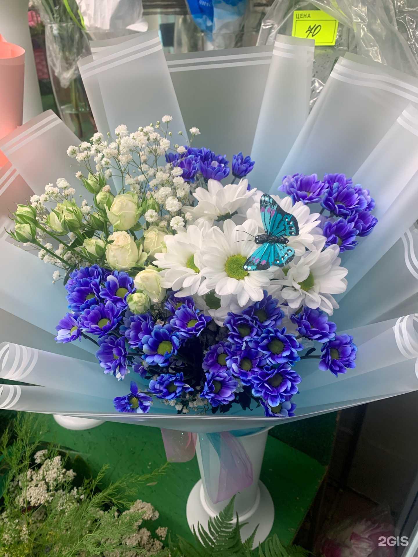 Отзывы на компанию Мир цветов в г. Самара c фото