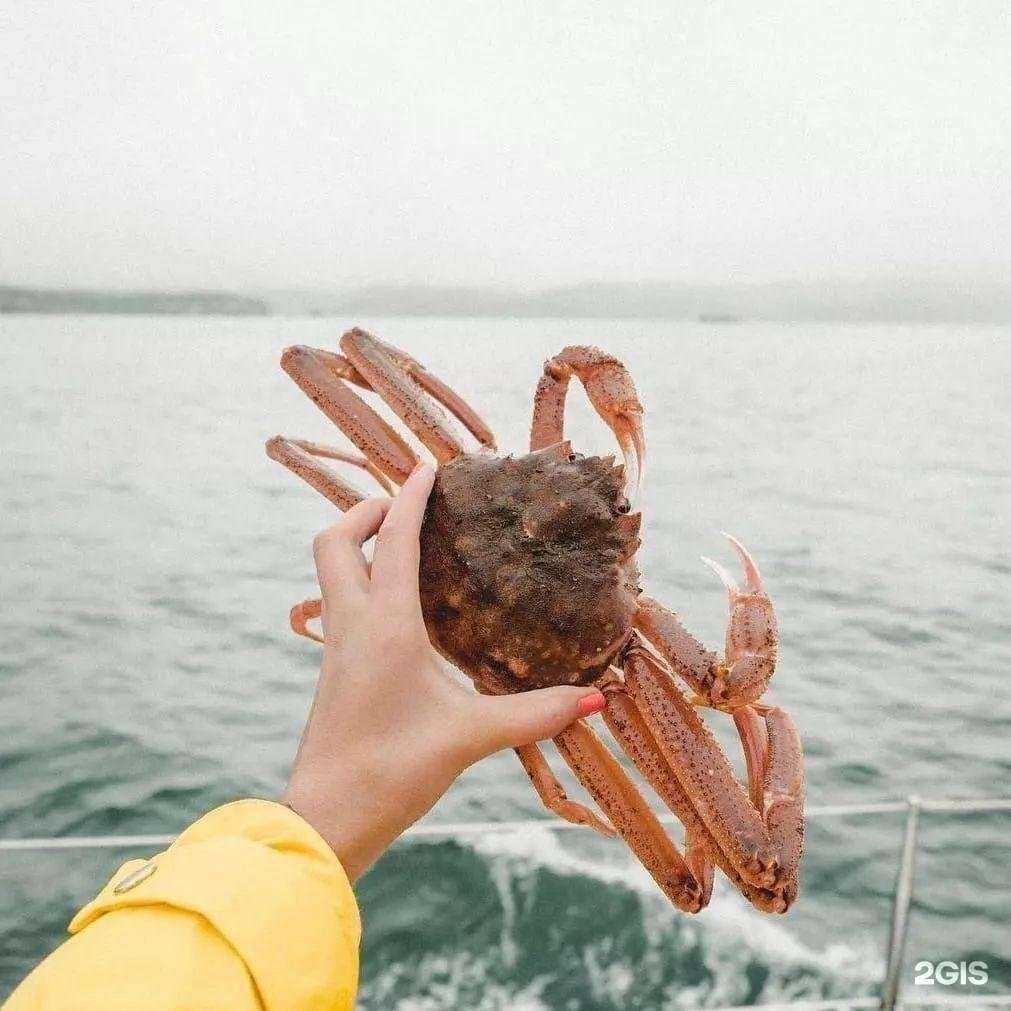 Отзывы на компанию Регион тур в Владимире c фото