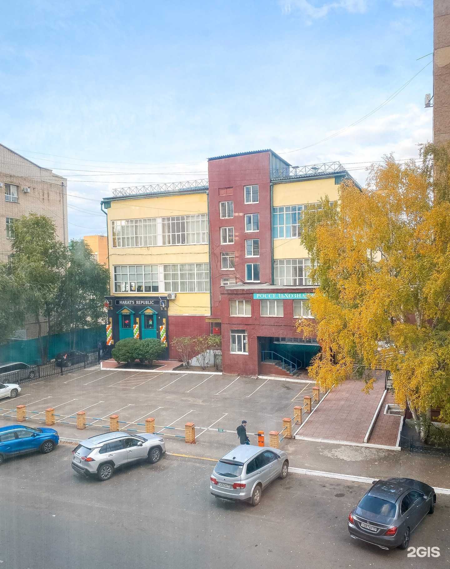 Отзывы на компанию Умами в г. Чита c фото