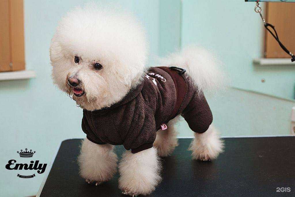 Отзывы на компанию Emily в г. Челябинск c фото