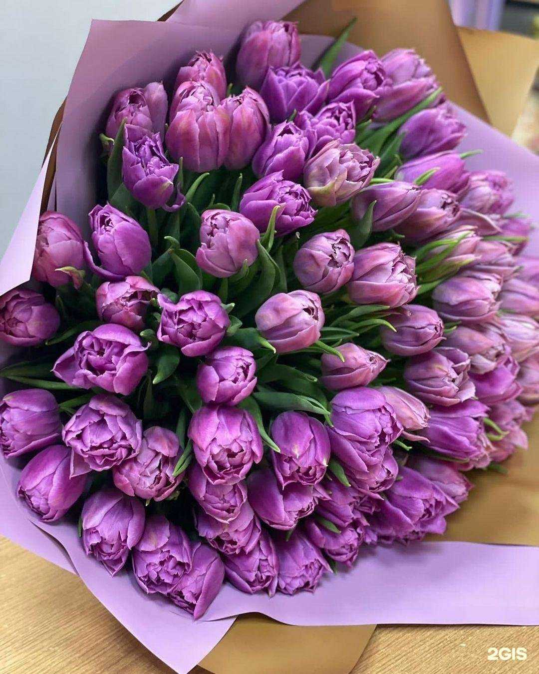 Отзывы на компанию Romantic в г. Махачкала c фото