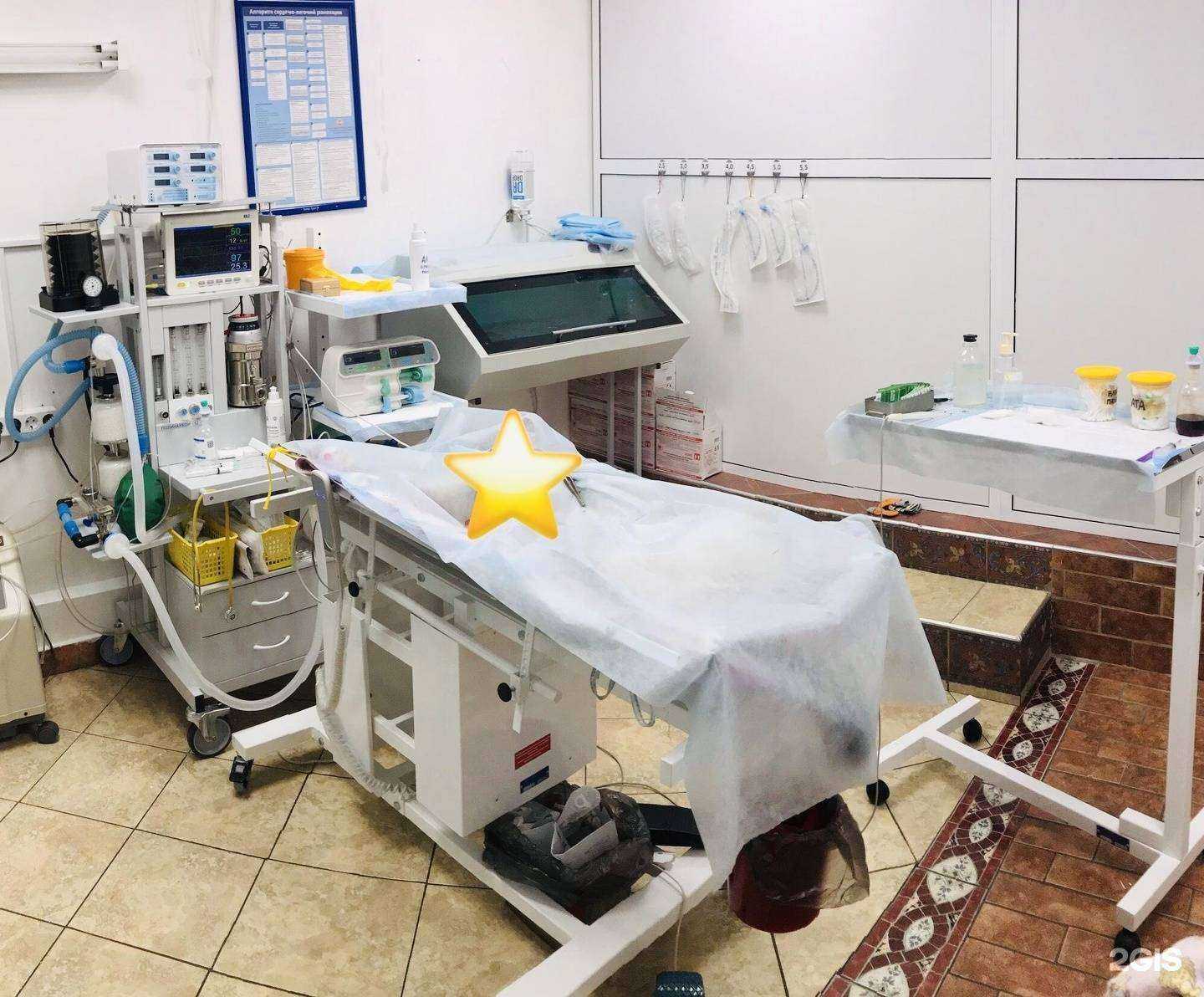 Отзывы на компанию Animal Doc в Ангарске c фото