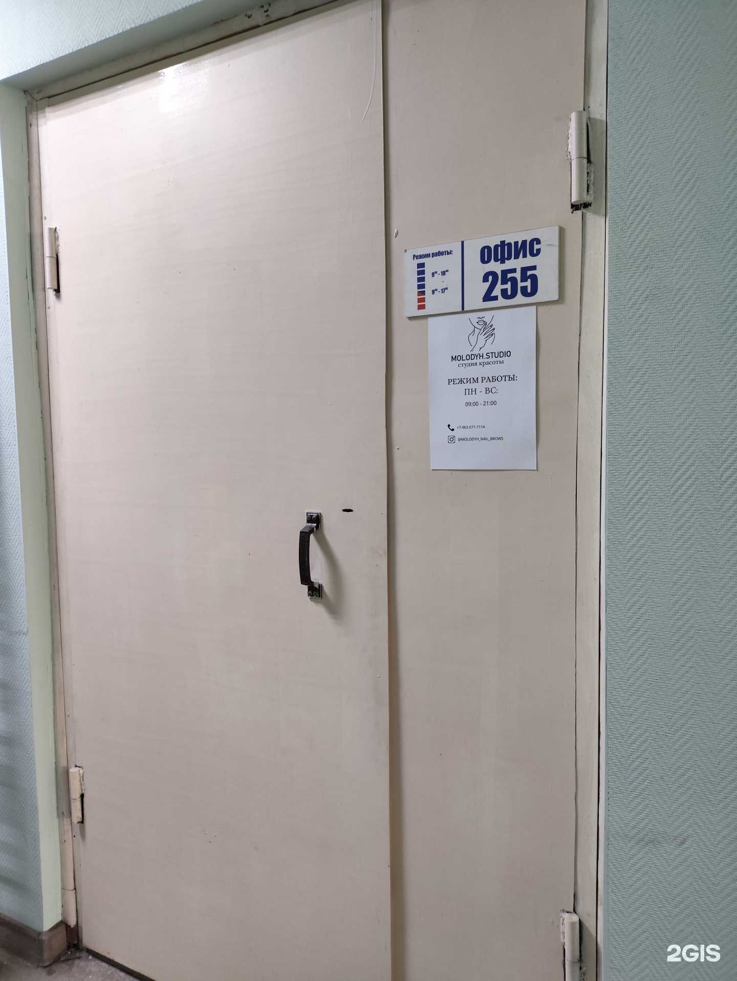 Отзывы на компанию Molodyx.studio в г. Барнаул c фото