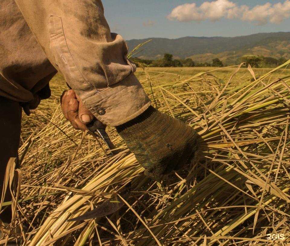 Отзывы на компанию Ситно-Продукт в г. Челябинск c фото