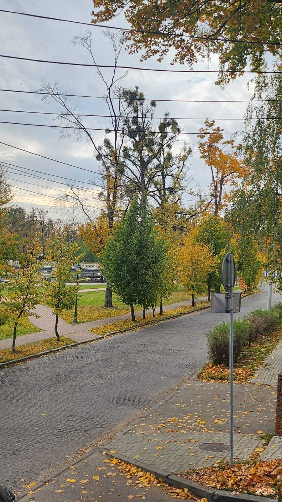 Отзывы на компанию Бюро научных экспертиз в г. Калининград c фото