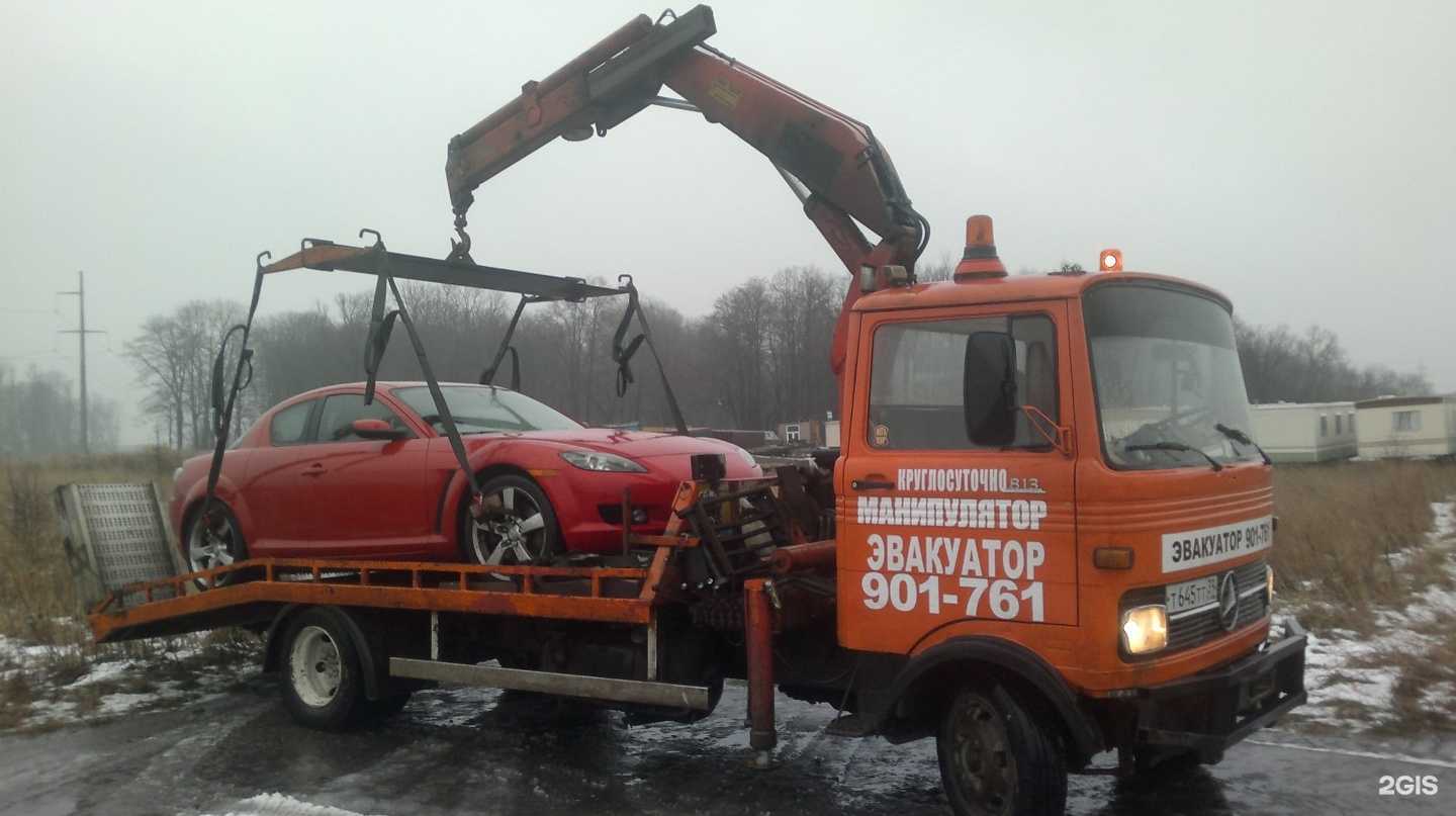 Отзывы на компанию Сега в Калининграде c фото