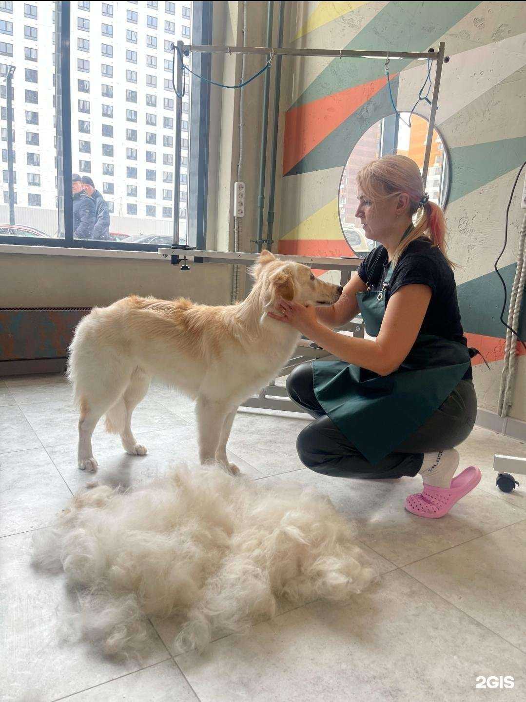 Отзывы на компанию Дядя Гена в г. Балашиха c фото