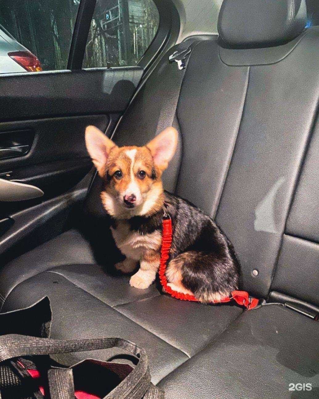 Отзывы на компанию Метраж в г. Электросталь c фото