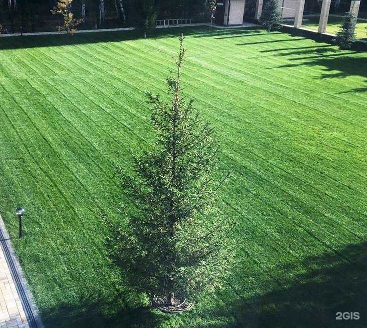 Отзывы на компанию Газоны Урала в Челябинске c фото