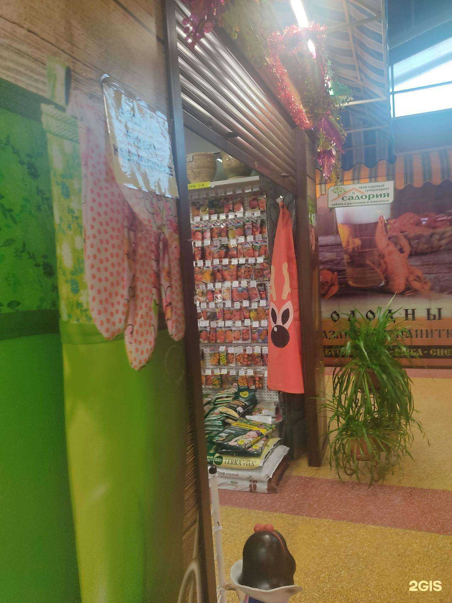 Отзывы на компанию Садория в Нижнем Новгороде c фото