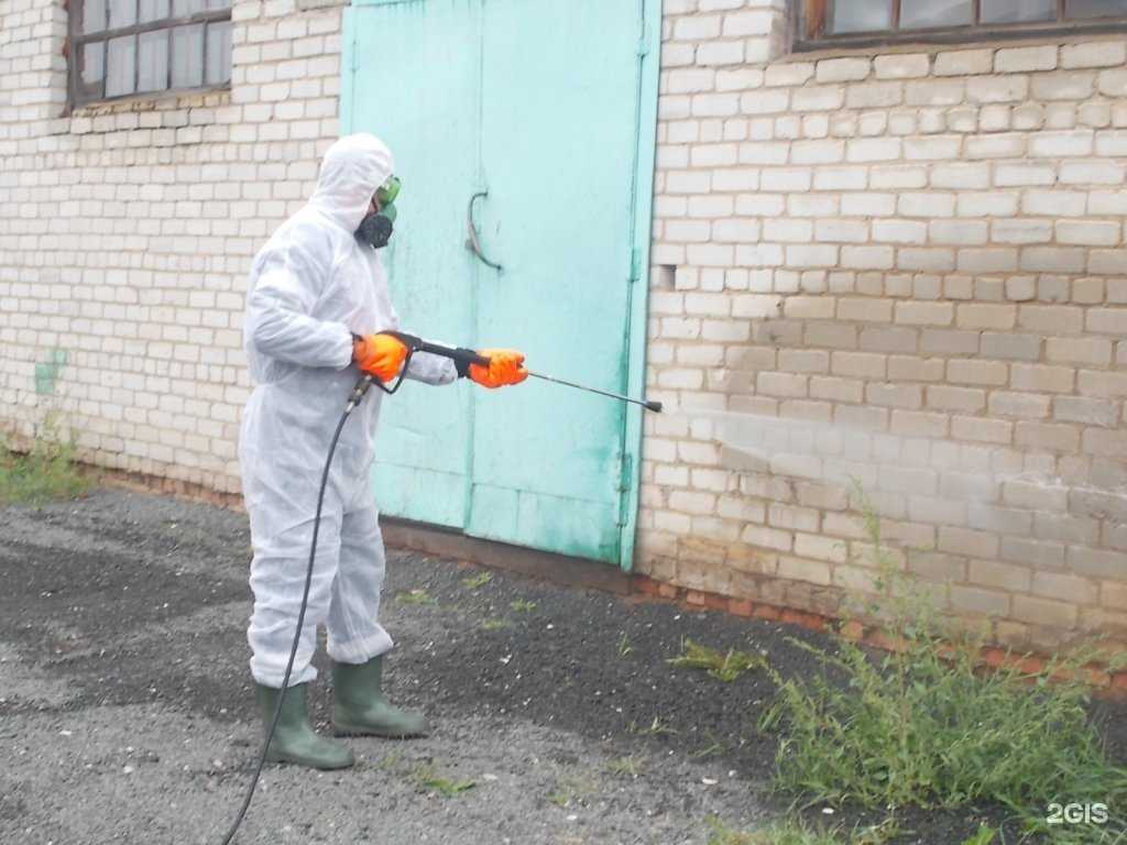 Отзывы на компанию Ярославская областная станция по борьбе с болезнями животных в Ярославле c фото