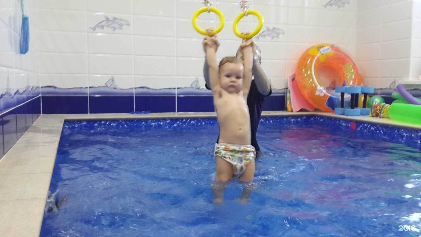 Отзывы на компанию Детки океана в Краснодаре c фото