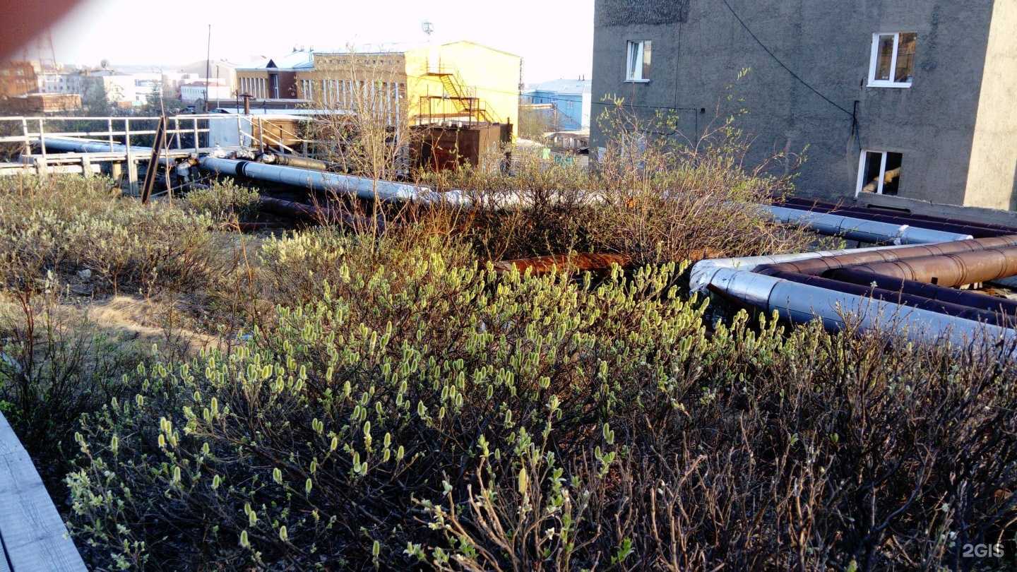 Отзывы на компанию 058 в Дудинке c фото - фотография 2 из 2