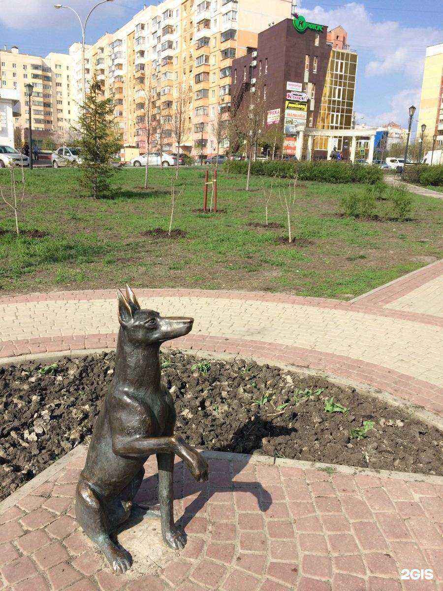 Отзывы на компанию Янот в Белгороде c фото - фотография 2 из 2